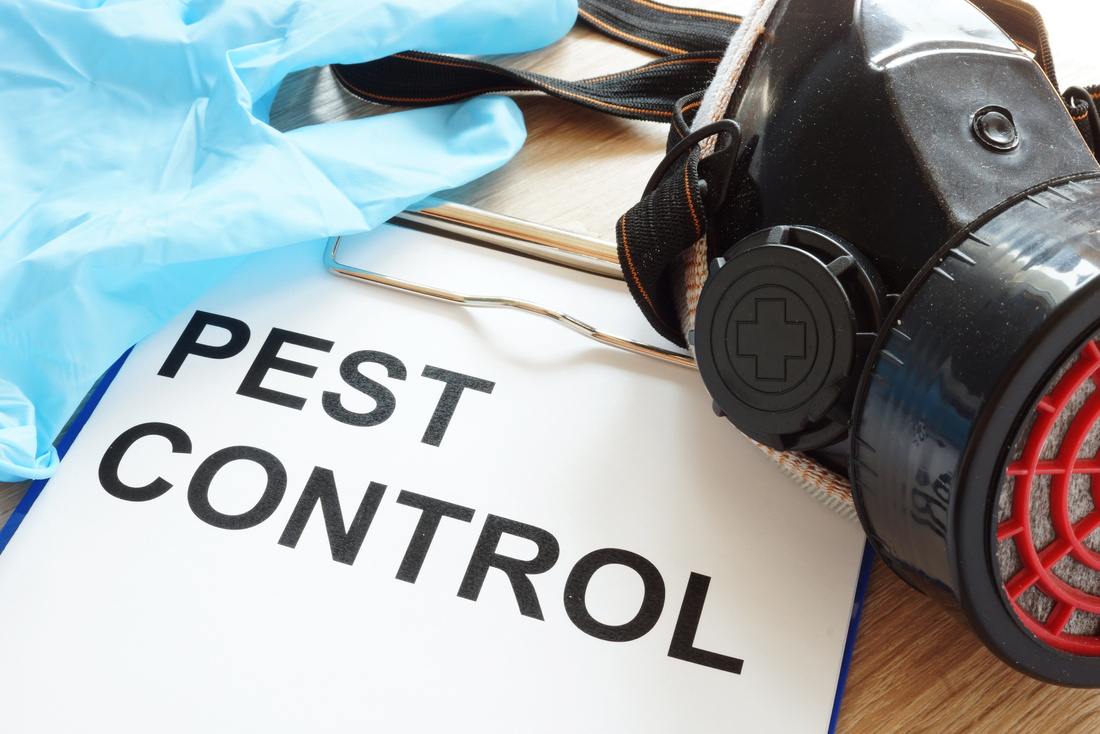 Pest control. Clipboard, respirator and gloves.